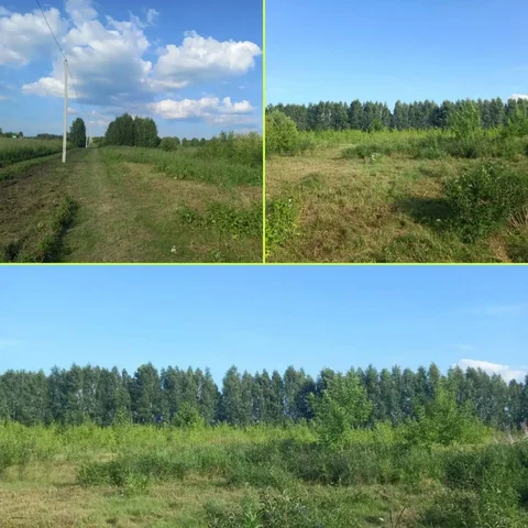 Продажа участка 15 соток в СНТ Надежда - частное объявление в Новоалтайск