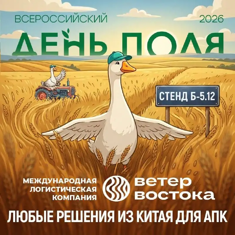 Приглашение на Всероссийский день поля от команды Ветер востока - Бизнес-услуги (Услуги) в Барнаул
