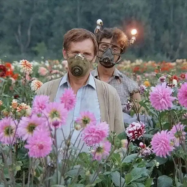 Обсуждение правительства