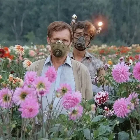 Обсуждение правительства - частное объявление в Новороссийск