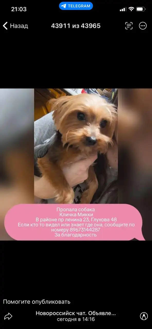 Продажа товара в Новороссийске