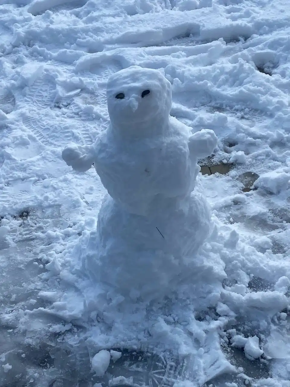 Продажа автомобиля Ford Focus 2017 года - Легковые автомобили (Авто) в Новороссийск