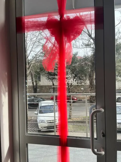 Потерялась кошка на улице Революции 1905 - частное объявление в Новороссийск