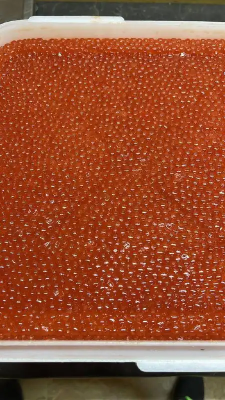 Продукты с Камчатки