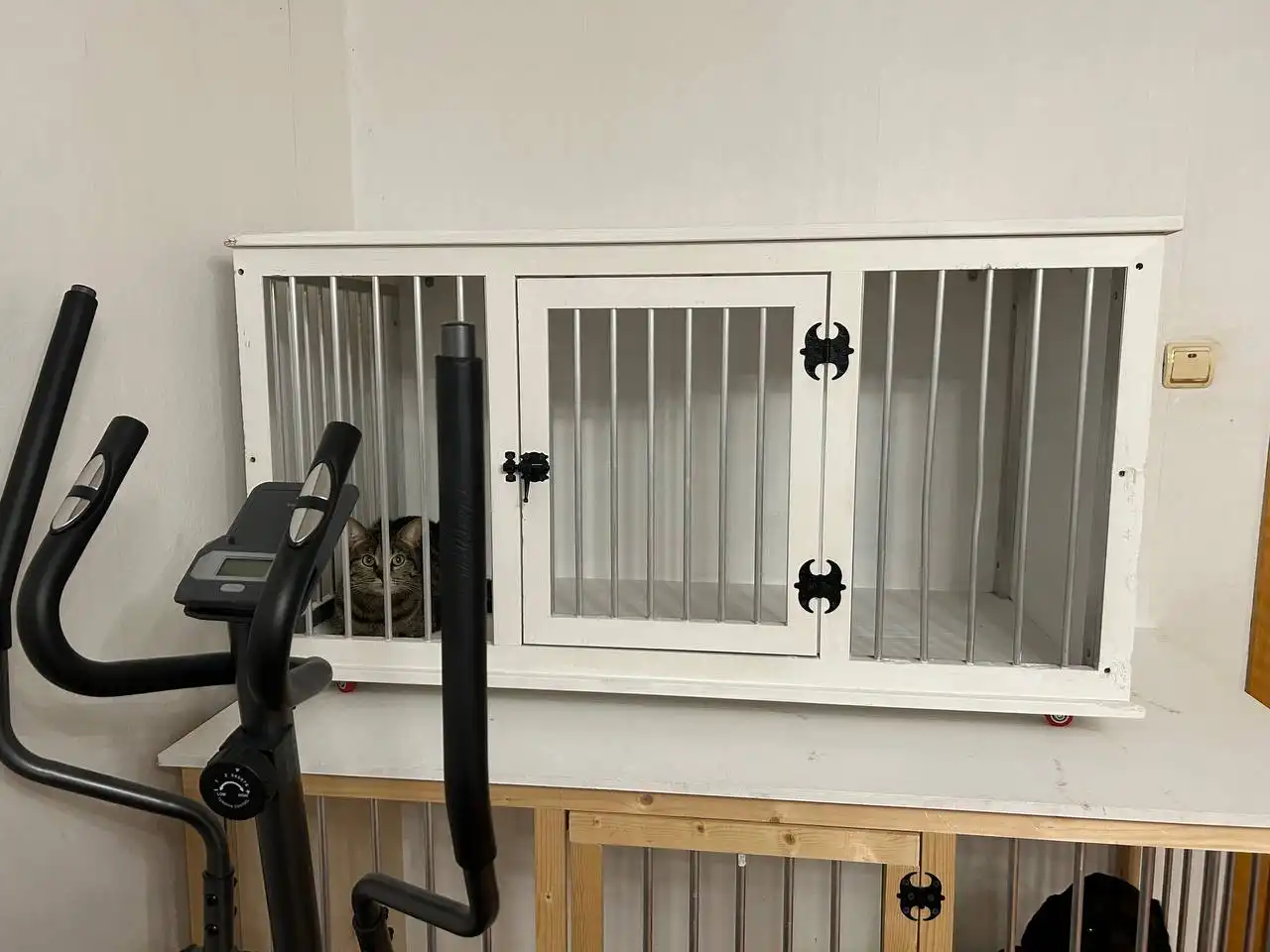 Одежда и аксессуары для женщин, вольер для животных