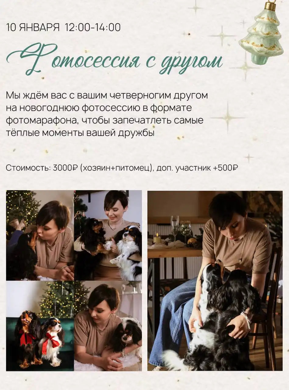 Фотомарафон для собак и их хозяев в фотостудии Абажур