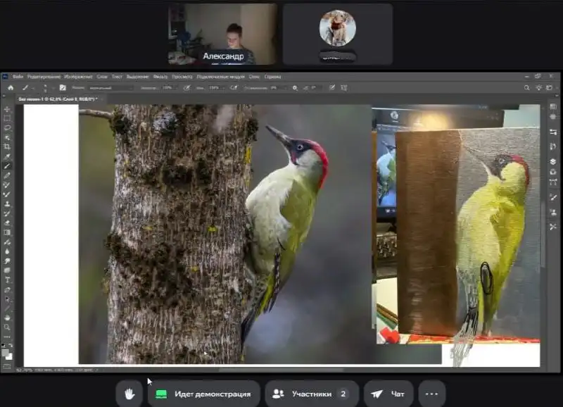 Онлайн репетитор по рисованию от Александра - Образовательные услуги (Услуги) в Балашиха
