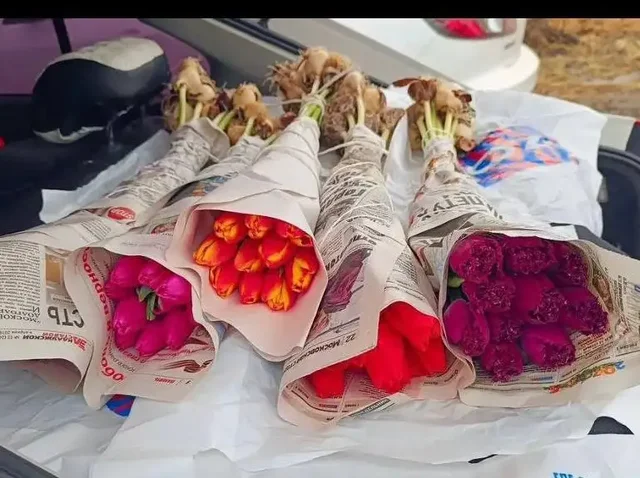 Тюльпаны с грядки на луковице с доставкой - Инструменты в Балашиха