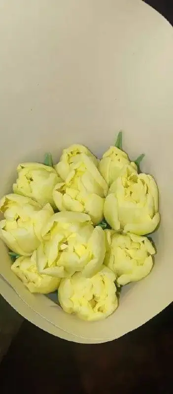 Тюльпаны с грядки на луковице с доставкой - Растения/цветы (Барахолка) в Балашиха