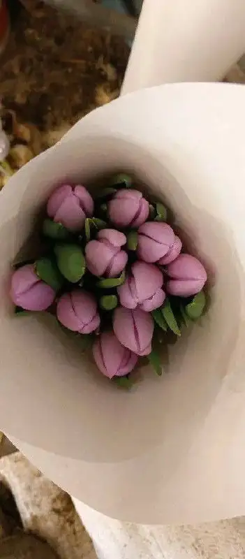 Тюльпаны с грядки на луковице с доставкой - Растения/цветы (Барахолка) в Балашиха