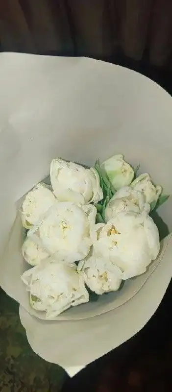 Тюльпаны с грядки на луковице с доставкой - Растения/цветы (Барахолка) в Балашиха