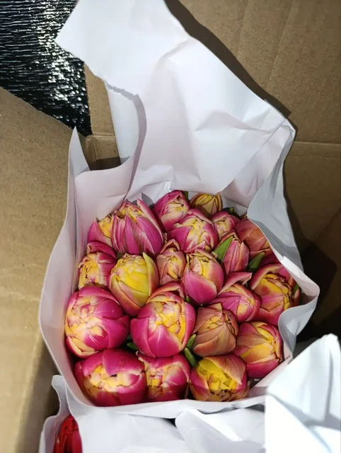 Тюльпаны оптом и в розницу от местного производителя - Группа продуктов в Балашиха