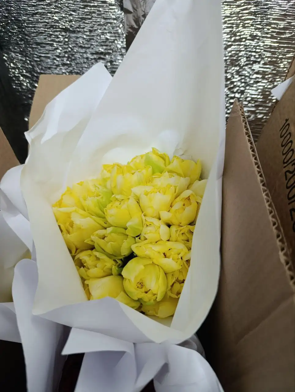 Тюльпаны оптом и в розницу в Балашихе - Цветы (Хобби и отдых) в Балашиха