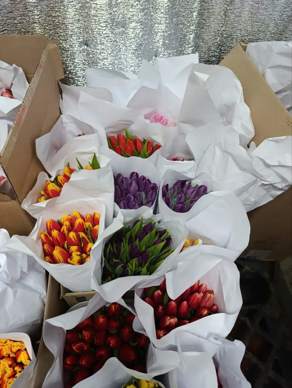 Тюльпаны оптом и в розницу в Балашихе - Цветы (Хобби и отдых) в Балашиха