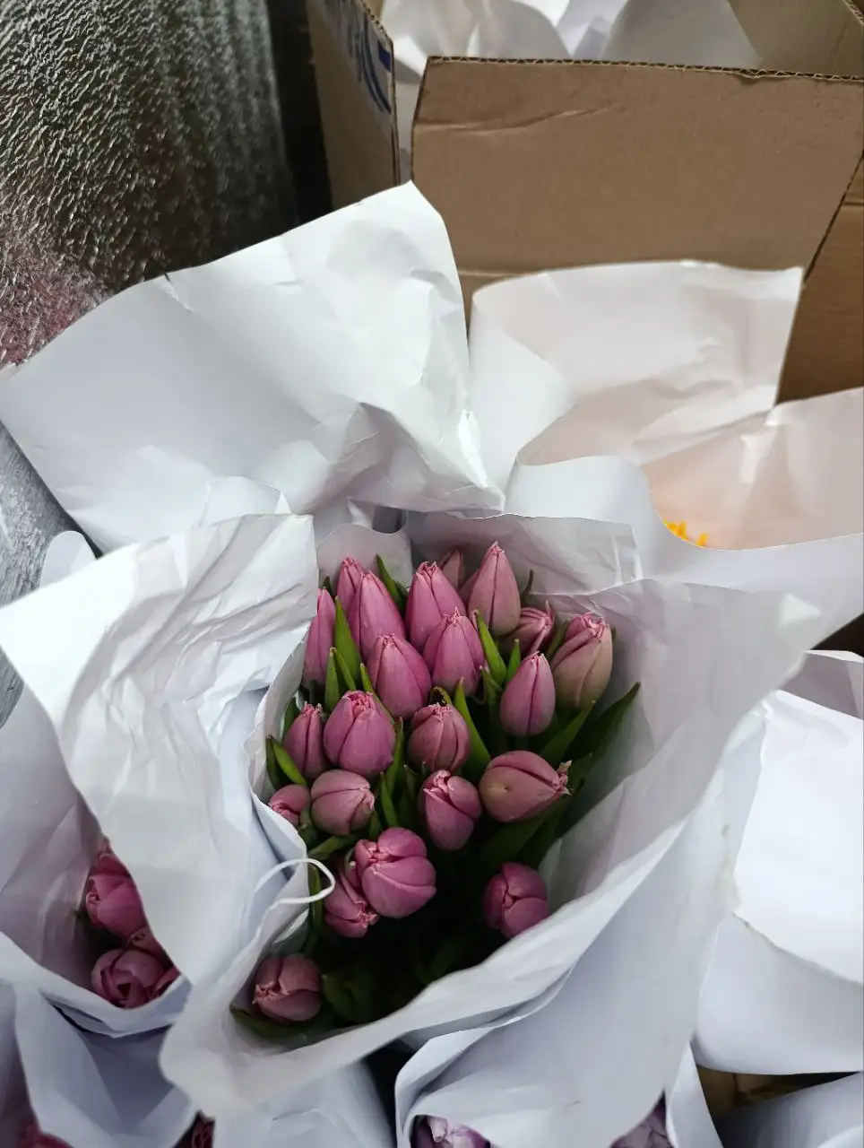 Тюльпаны оптом и в розницу в Балашихе - Цветы (Хобби и отдых) в Балашиха