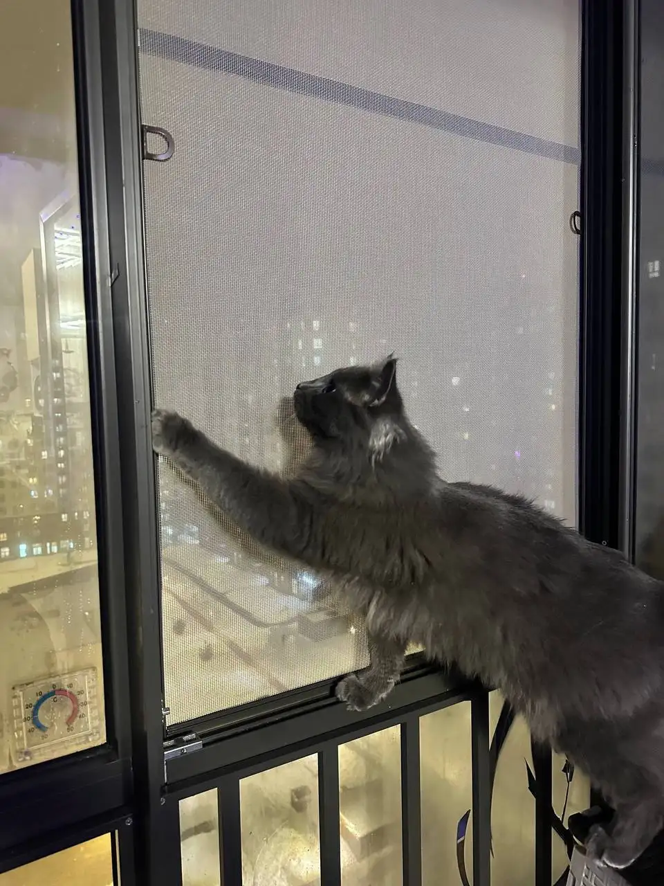 Москитные сетки и шторы плиссе для дома - Москитные сетки (Для дома и дачи) в Балашиха