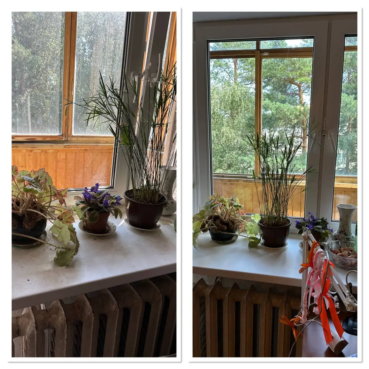 Профессиональная уборка помещений любой сложности в Балашихе - Клининг (Услуги) в Балашиха