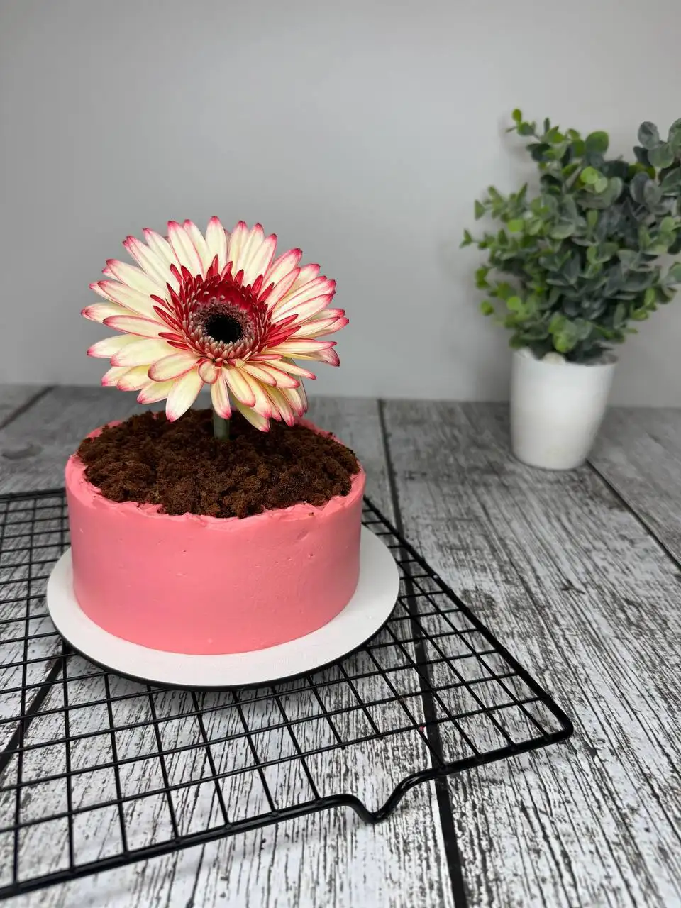 Домашние десерты от Оксаны - Кулинария (Услуги) в Балашиха