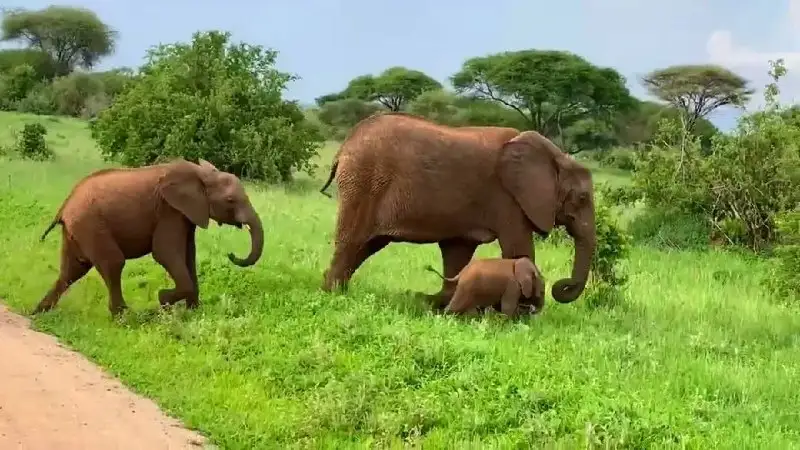 Личный гид по путешествиям Катя - Туристические услуги (Услуги) в Балашиха