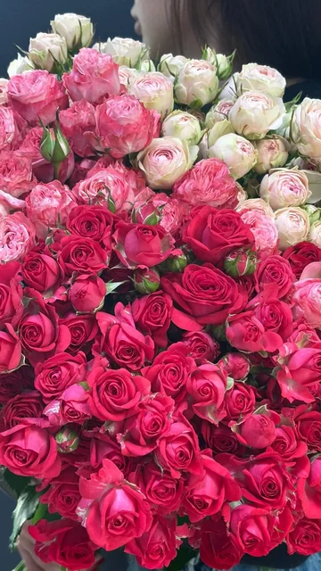 Продажа цветов: гелиантус, экстома, пионовидная кустовая роза, сантини, гипсофила - частное объявление в Балашиха