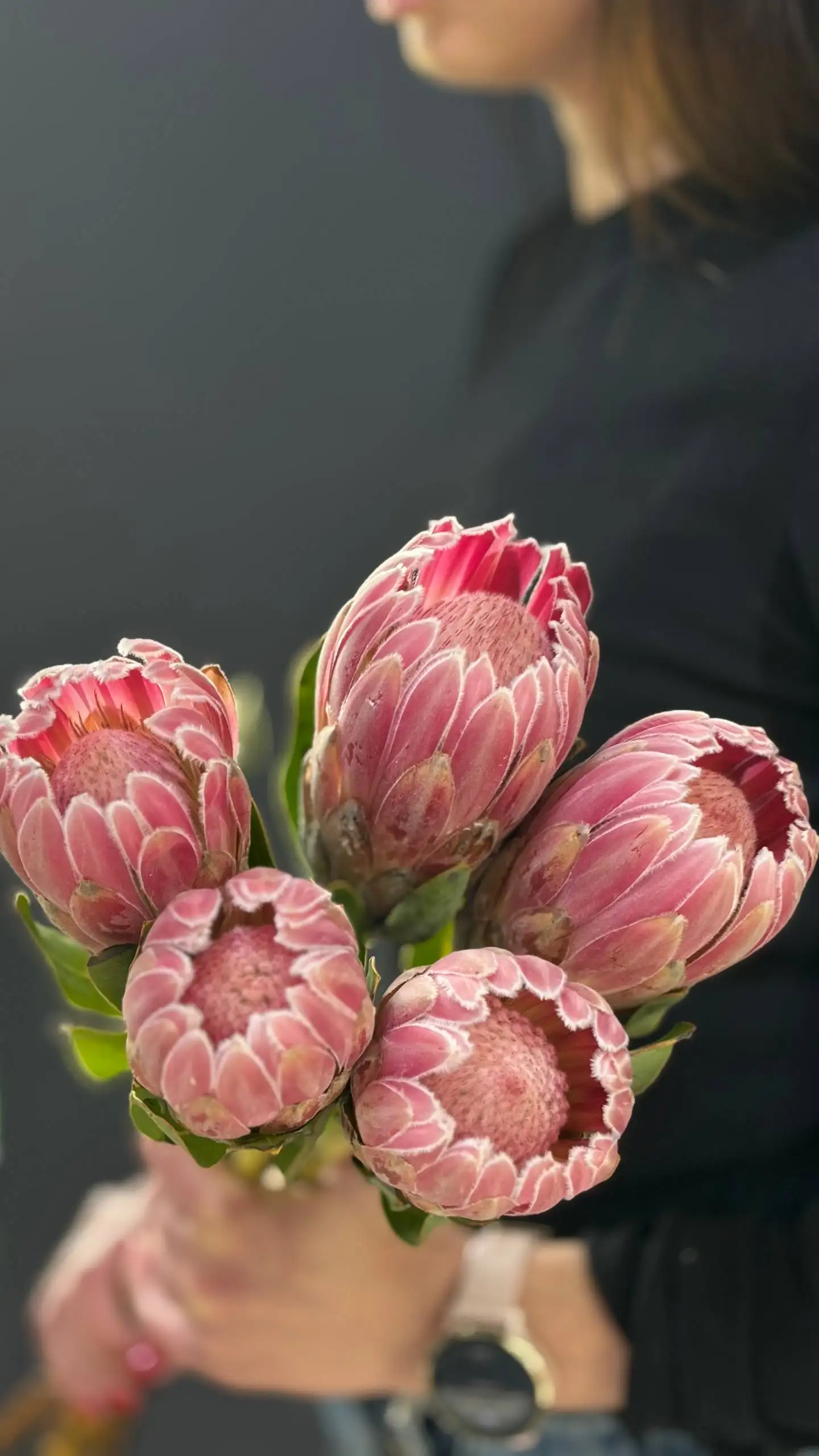 Продажа цветов: гелиантус, экстома, пионовидная кустовая роза, сантини, гипсофила - Цветы (Барахолка) в Балашиха