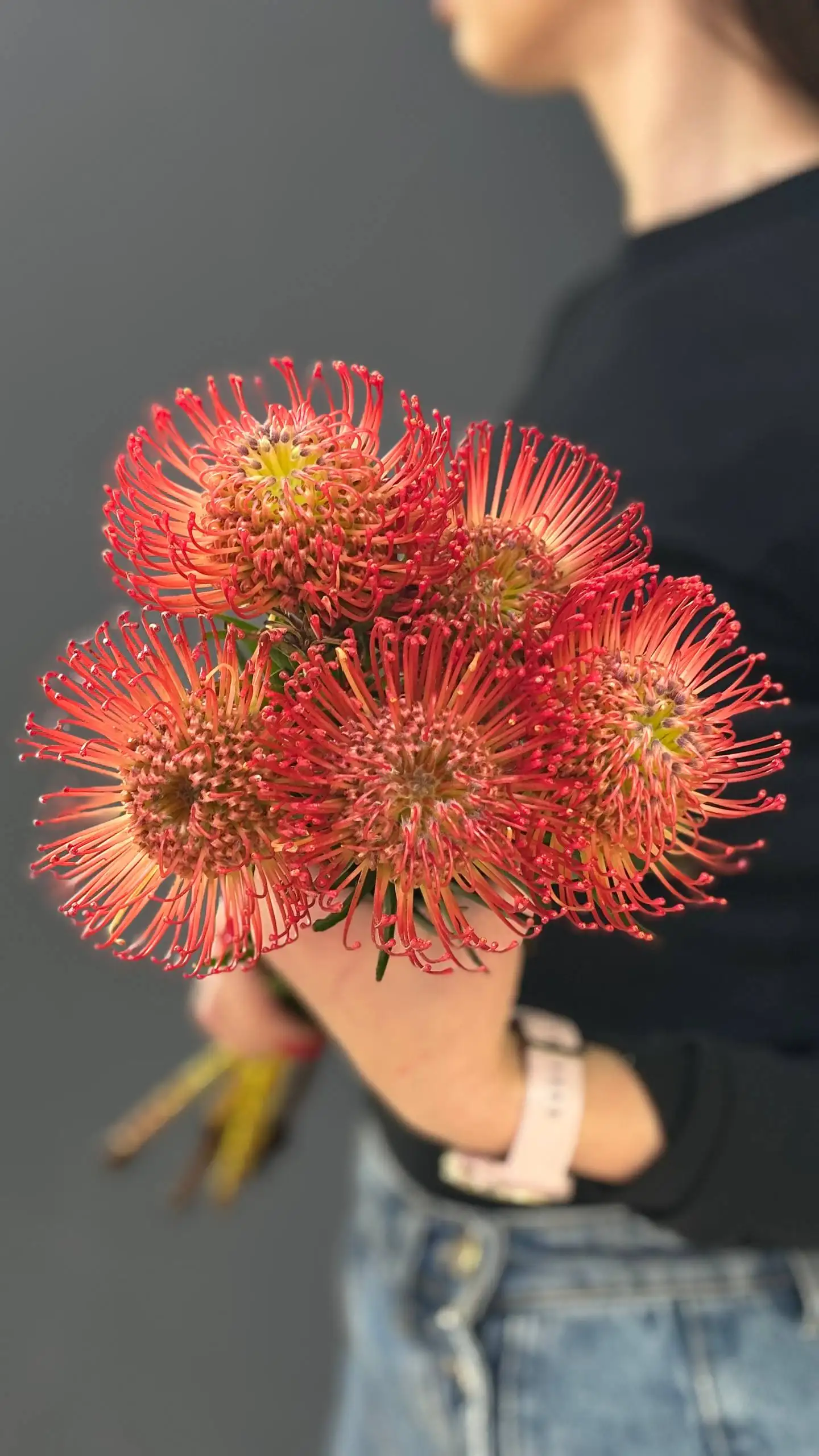 Продажа цветов: гелиантус, экстома, пионовидная кустовая роза, сантини, гипсофила - Цветы (Барахолка) в Балашиха