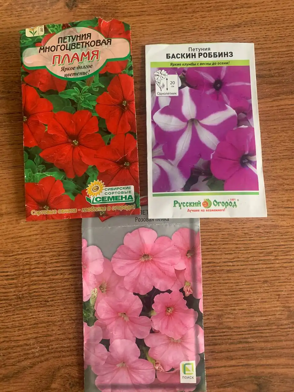 Рассада петунии, лаванды и тимьяна - Растения (Барахолка) в Балашиха