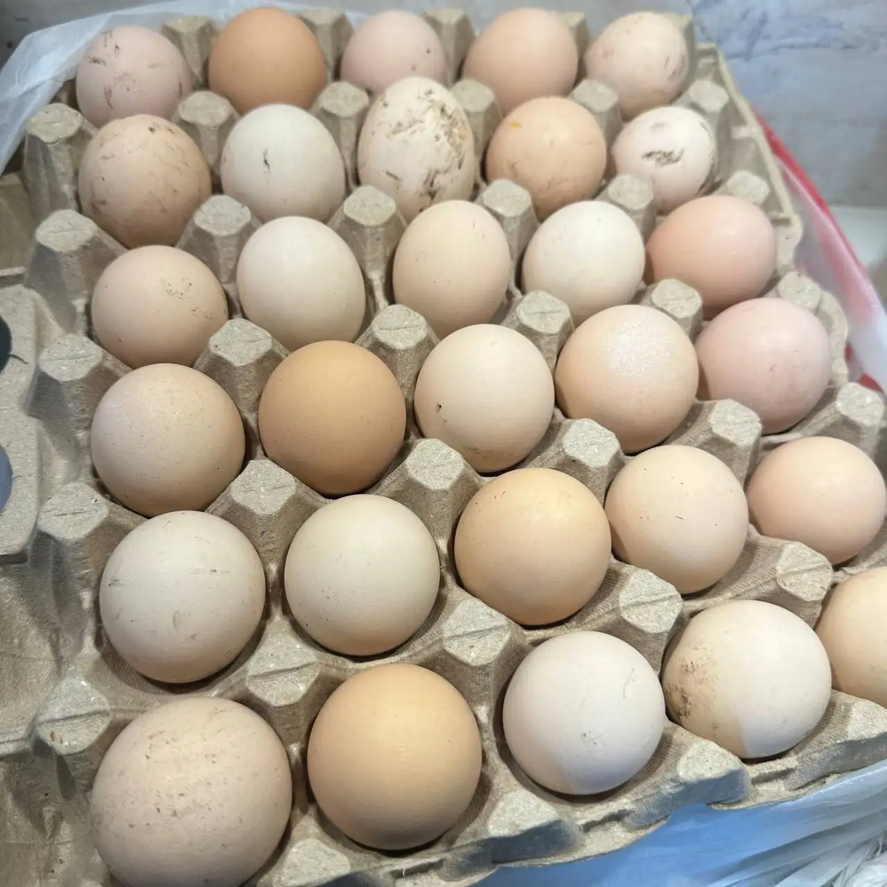 Домашние яйца свежие - Продукты питания (Барахолка) в Балашиха