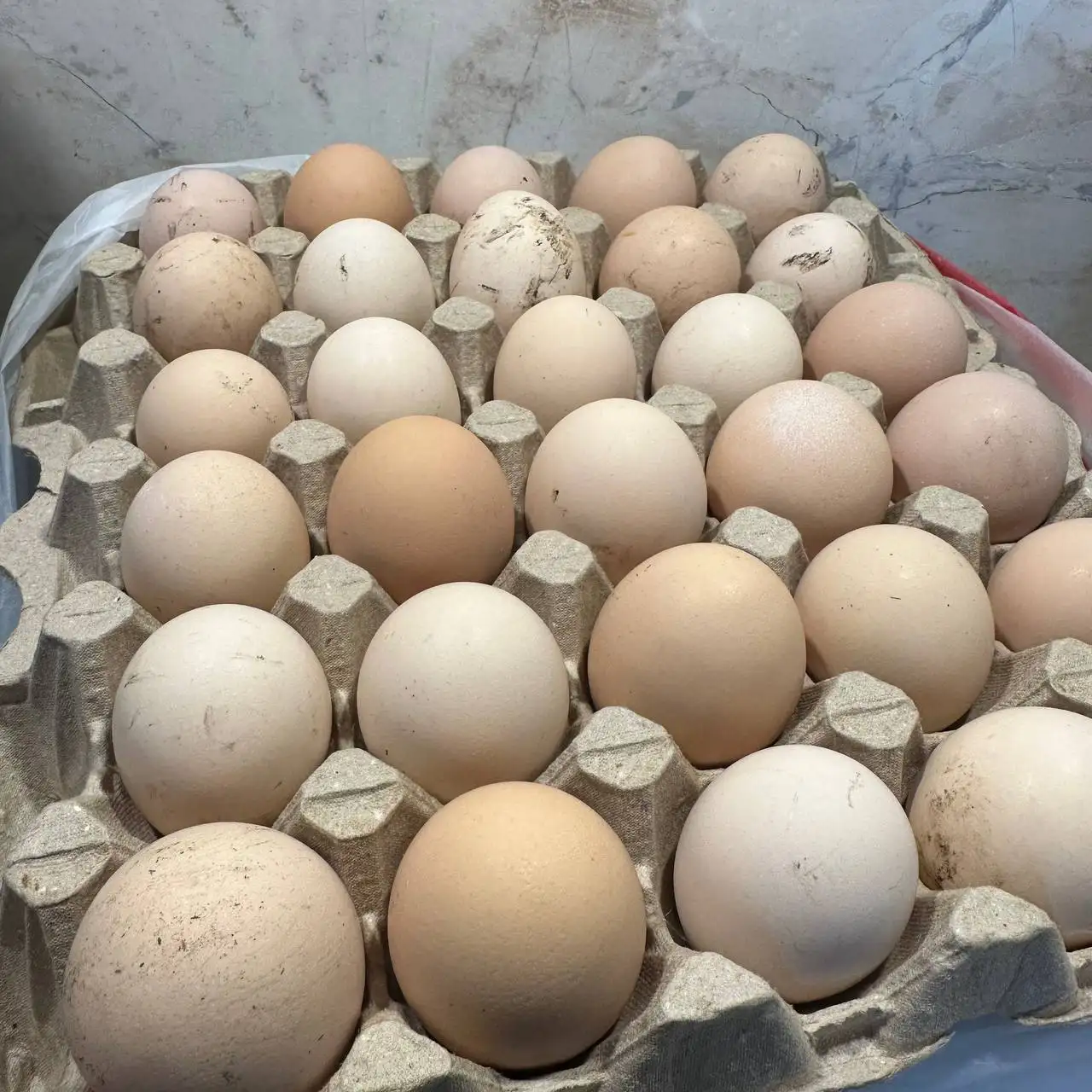 Домашние яйца свежие - Продукты питания (Барахолка) в Балашиха