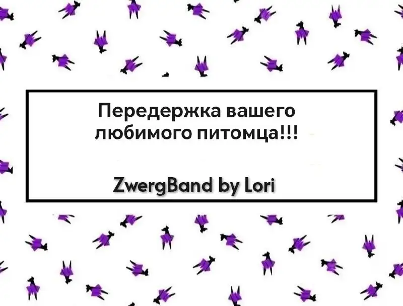 Передержка домашних питомцев - Передержка животных (Животные) в Балашиха