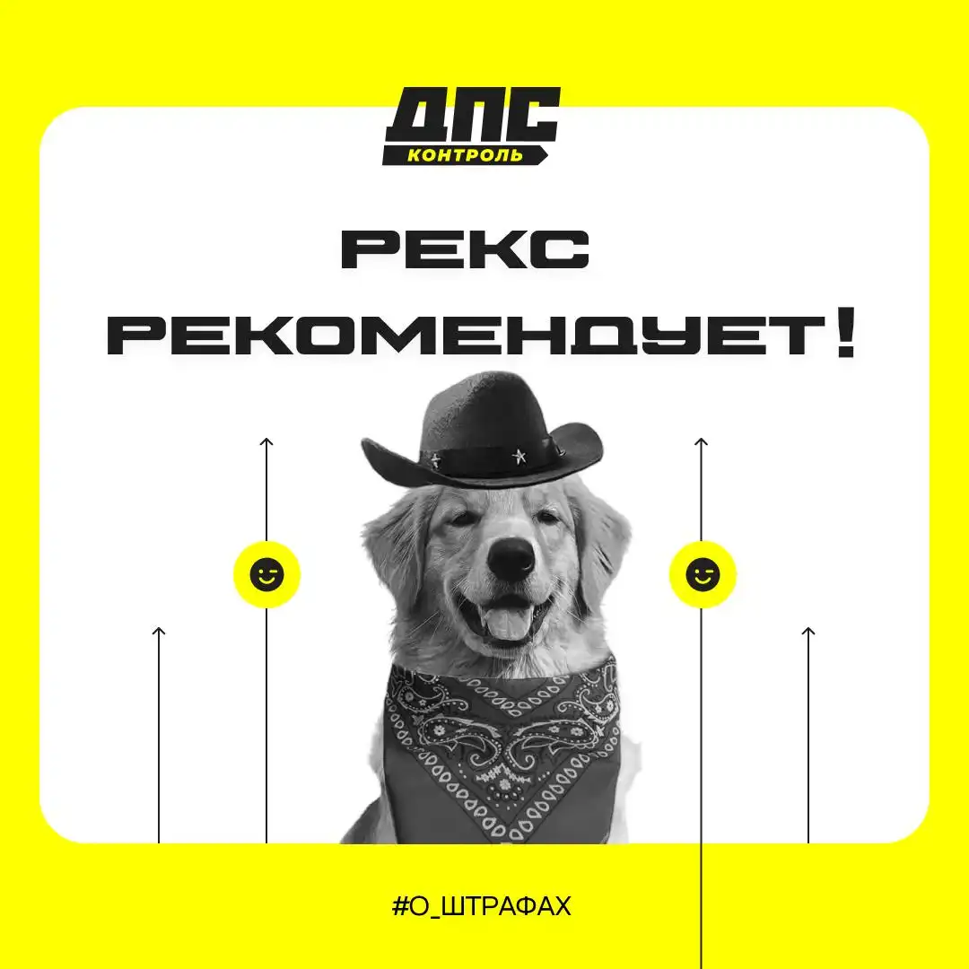 Подборка вестернов от Рекса - Кино (Хобби и отдых) в Оренбург