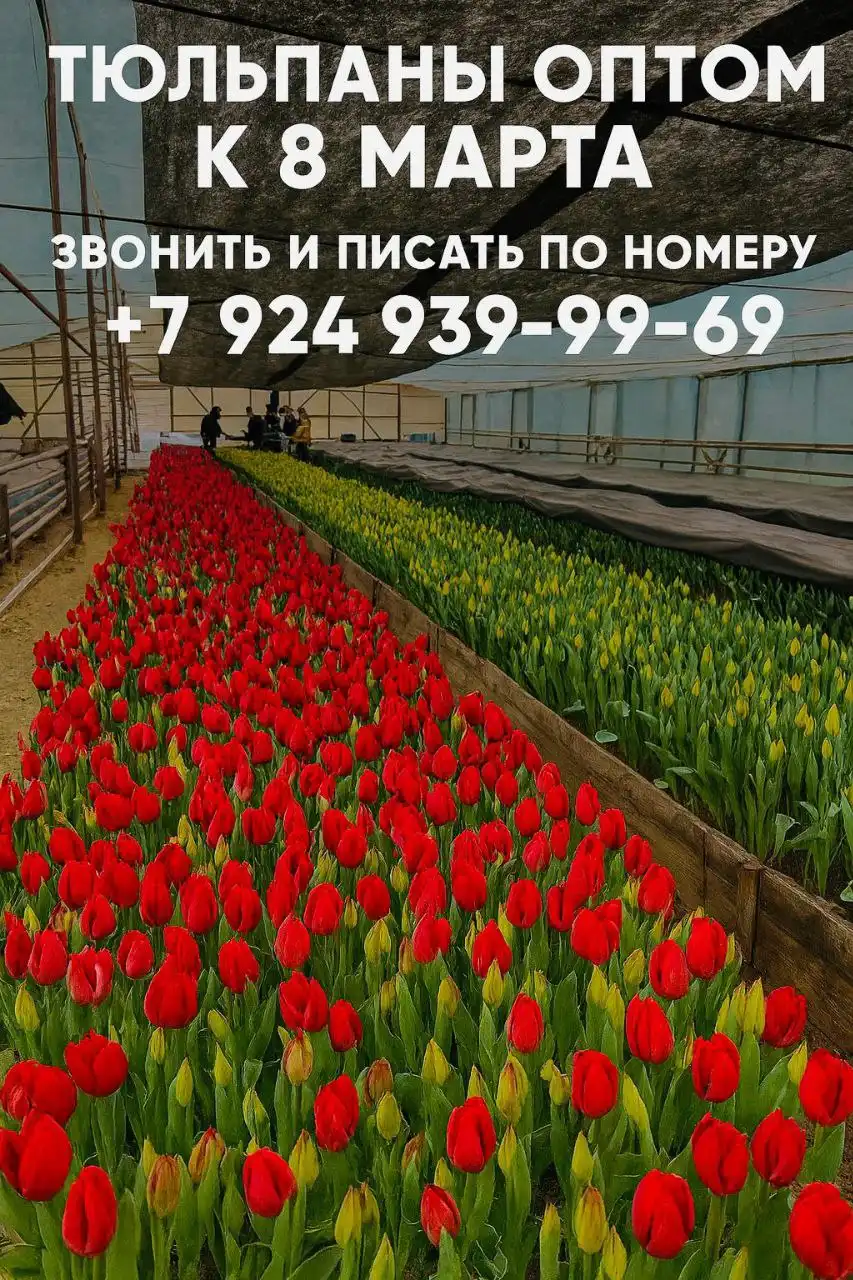 Товар из барахолки Владивосток