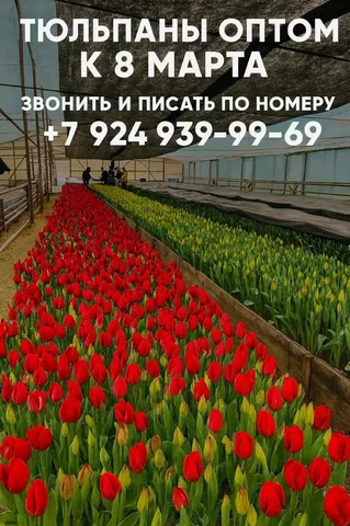 Товар из барахолки Владивосток - Барахолка в Владивосток