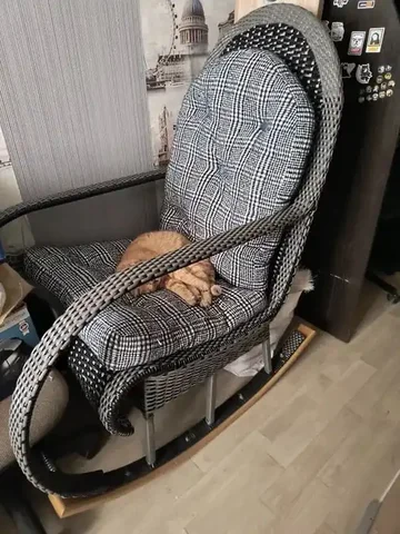 Кресло-качалка для отдыха и чтения - Профессиональное оборудование в Владивосток