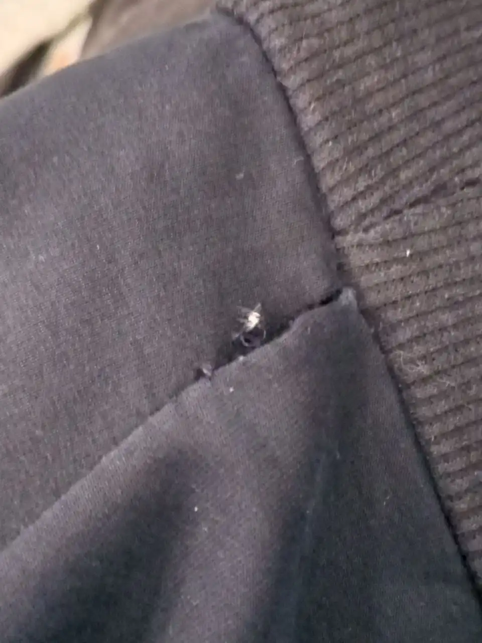 Продам кофту Champion с дефектом рукава