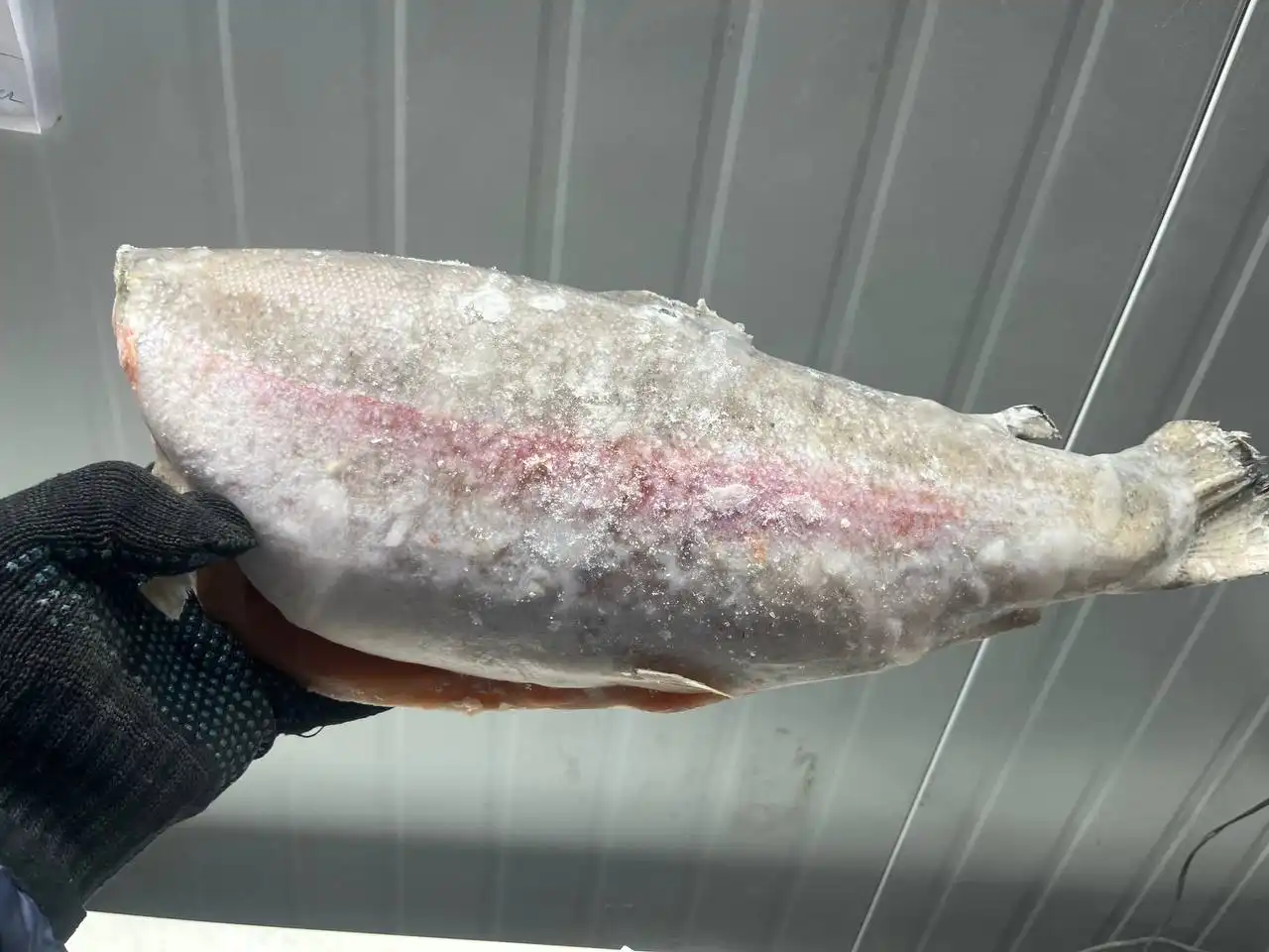 Продажа морепродуктов и стейков говядины