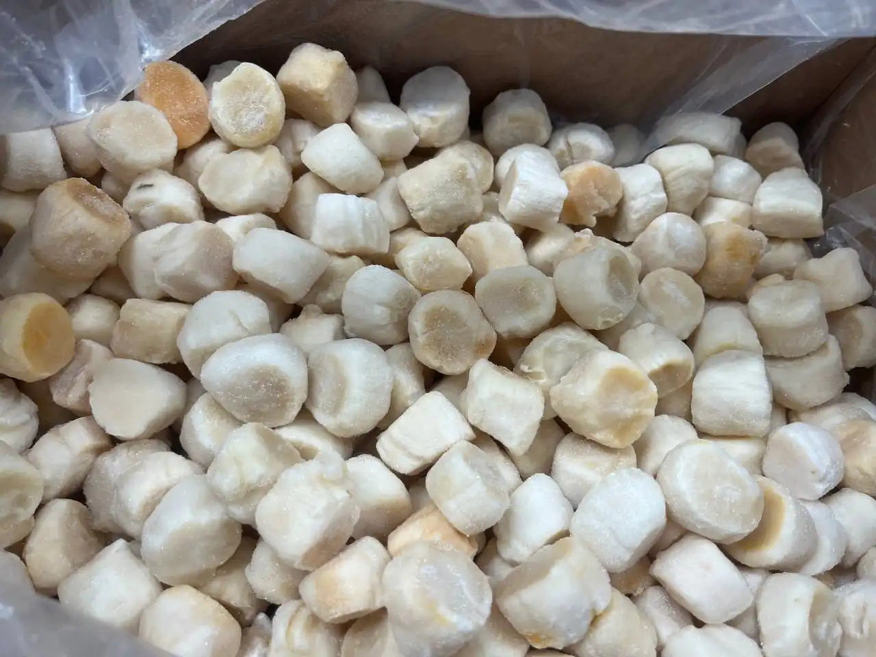 Продажа морепродуктов и стейков говядины