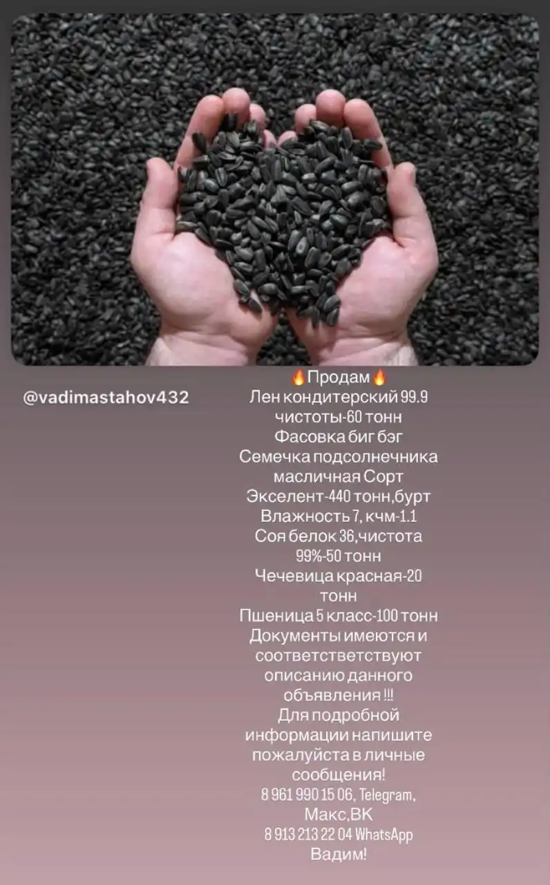 Продажа семечки подсолнечника, овса, ядра подсолнечника и льна - Продукты питания (Барахолка) в Барнаул