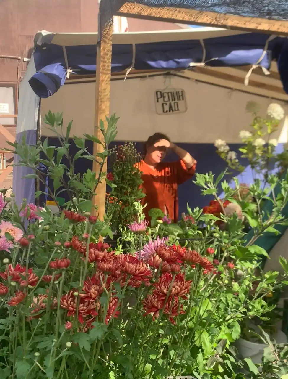 Продажа саженцев и многолетних растений - Садоводство (Хобби и отдых) в Барнаул