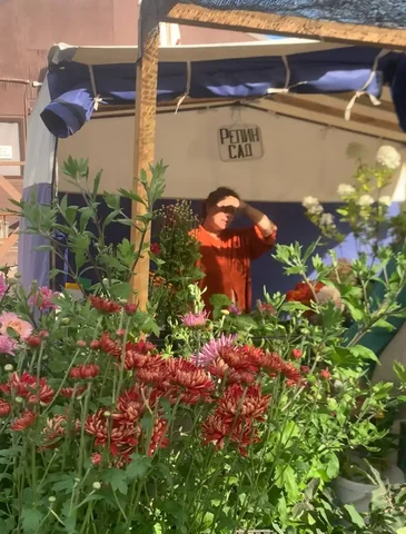 Продажа саженцев и многолетних растений - Цветы в Барнаул