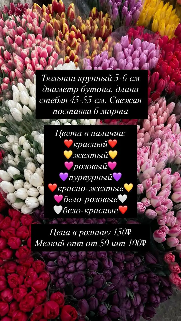 Продам шины с дисками R15 185/65 - Шины и диски (Авто) в Барнаул