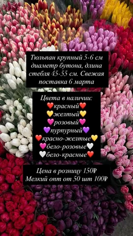 Продам шины с дисками R15 185/65 - Шины и диски в Барнаул