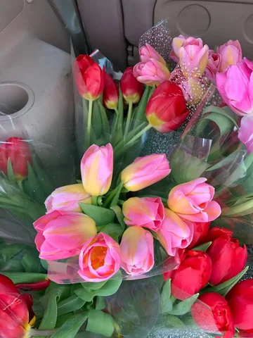 Тюльпаны большие до 70см с объемным бутоном - Настольные игры в Барнаул