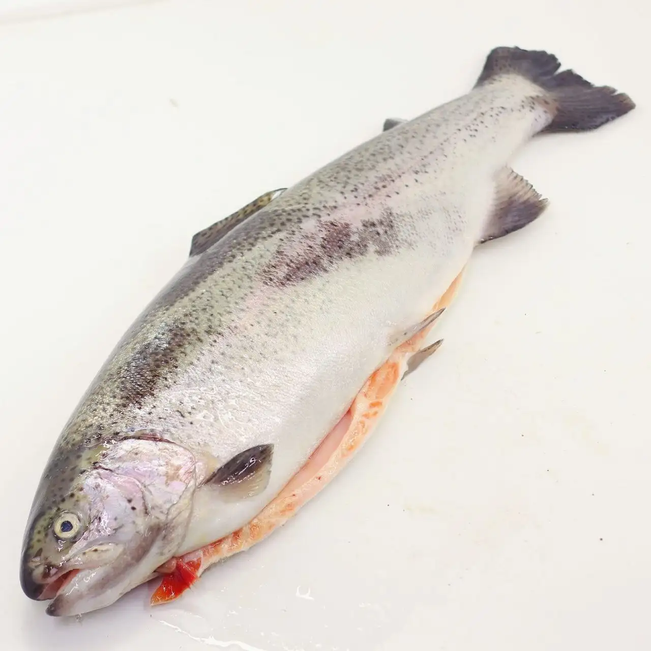 Свежая охлаждённая форель из Хакасии - Продукты питания (Барахолка) в Барнаул