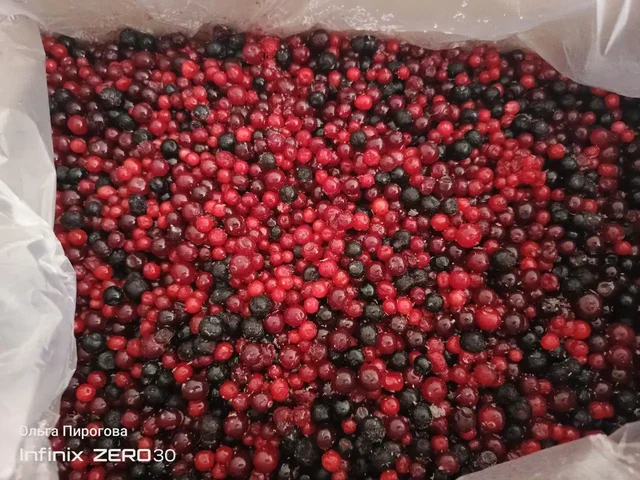 Свежемороженные продукты с доставкой в Барнаул - Светильники и освещение в Барнаул