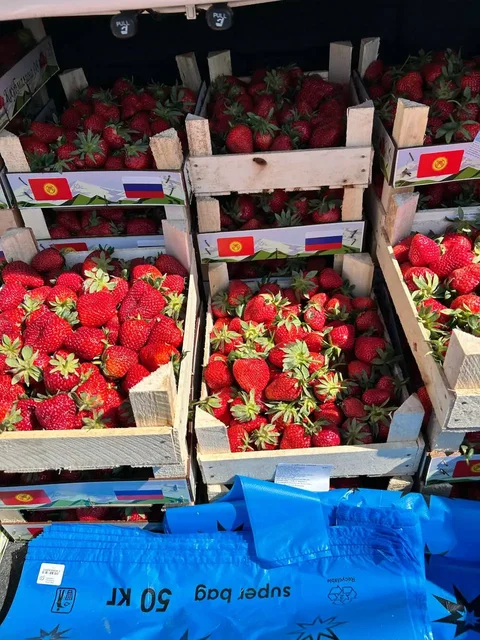 Свежая поставка клубники из Киргизии - Электронные сигареты и вейпы в Барнаул