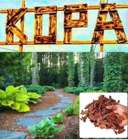 Кора лиственницы мульча - Кухонные гарнитуры в Барнаул
