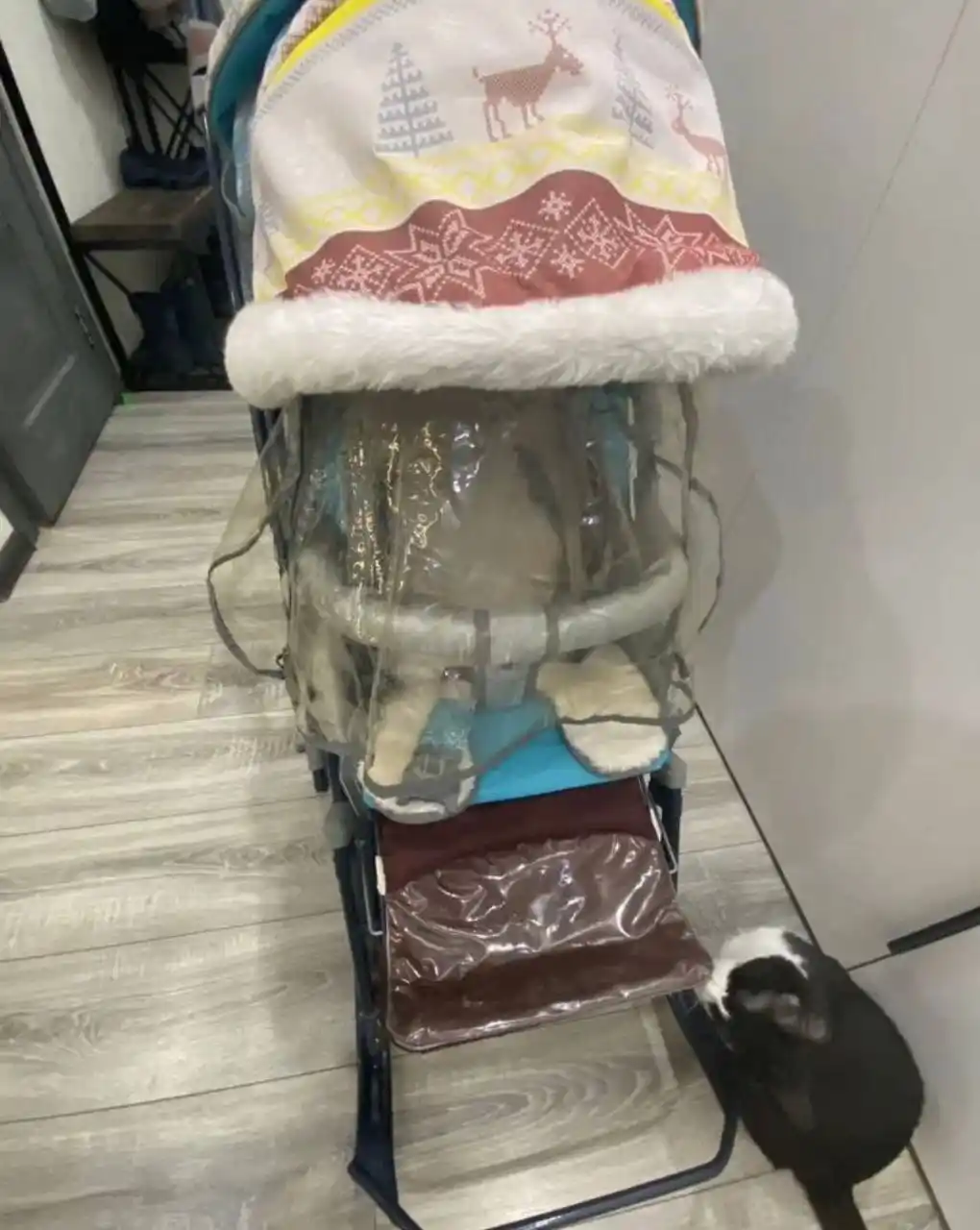 Коляска-санки Nika