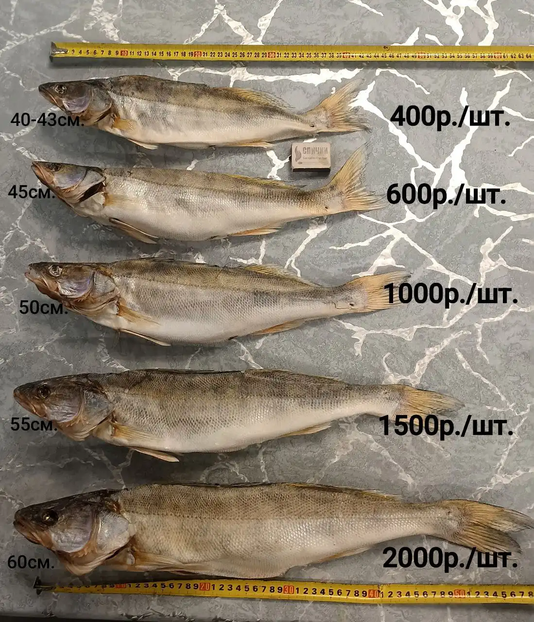 Вяленый Азовский судак