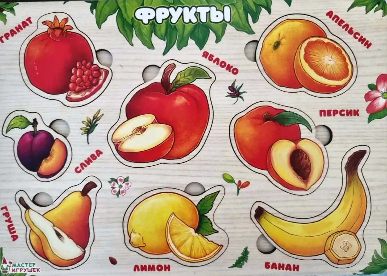 Рамки вкладыши